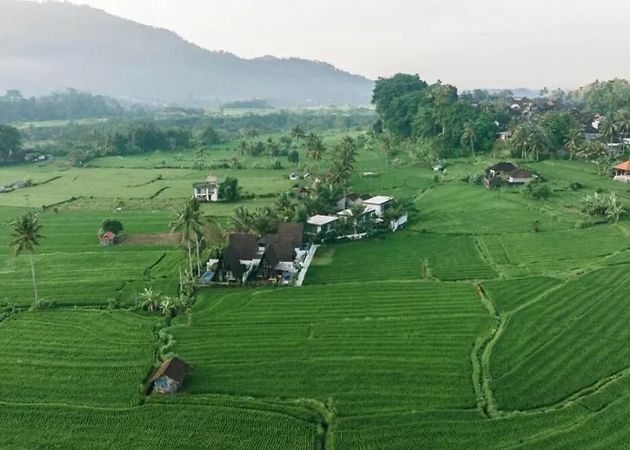 Zen Retreat With Ricefield And Mountain View With Pool Silebeng