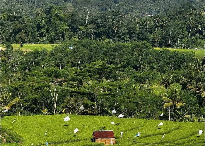 Chalet Zen Retreat With Ricefield And Mountain View With Pool Silebeng