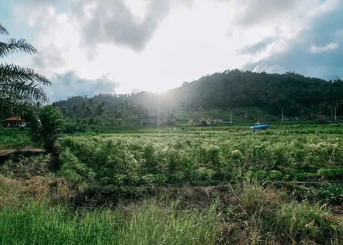 Zen Retreat With Ricefield And Mountain View With Pool Chalet Silebeng