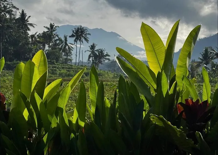 Zen Retreat With Ricefield And Mountain View With Pool *